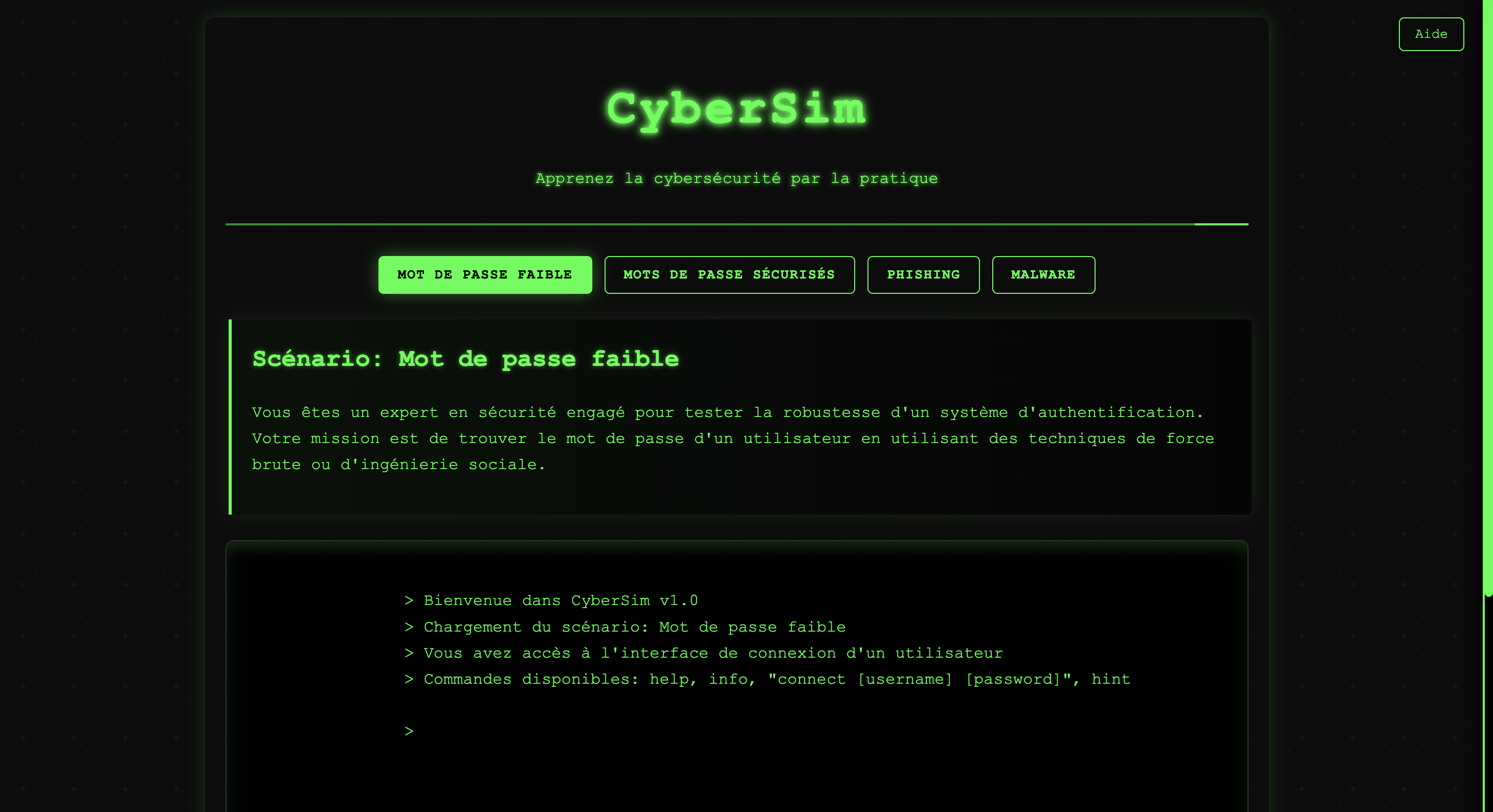 Cybersim